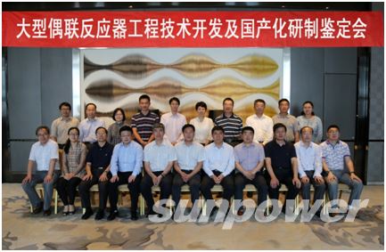 大型偶联反应器工程手艺开发及国产化项目通过判断