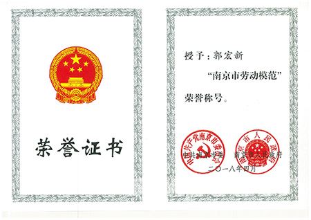 集团董事长郭宏新荣获“南京市劳动模范”称呼
